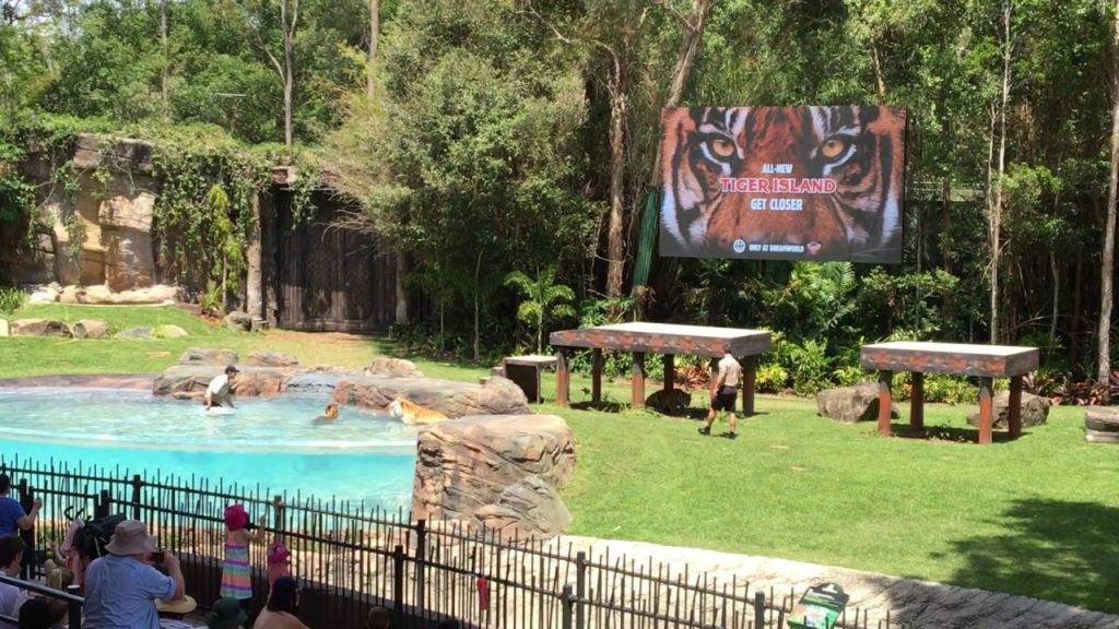 PRESTIGE LED SCREENS DREAMWORLD TIGER ISLAND